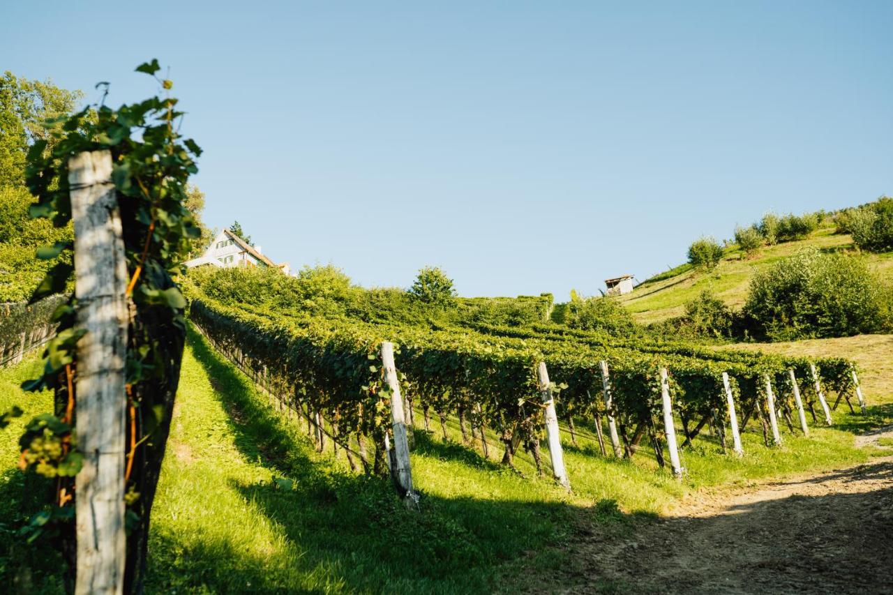 Winzerhof Strablegg Villa Großklein Dış mekan fotoğraf